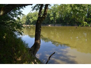 Property photo 22 - 108 +/- Acres Offered in 2 Tracts - Land Auction